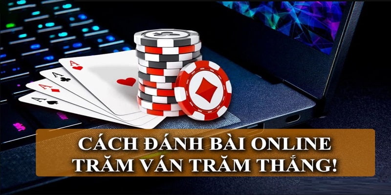 Tham khảo chiến thuật chơi catte online từ người có nhiều kinh nghiệm